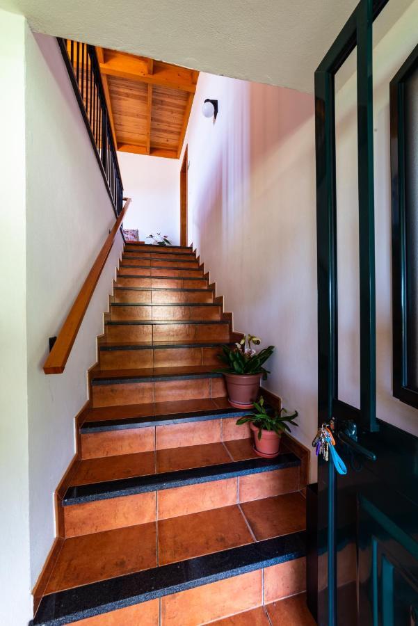 Casa Miguel Villa Machico  Buitenkant foto